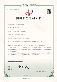 雷力閥門一種蝶閥防塵結構實用新型專利