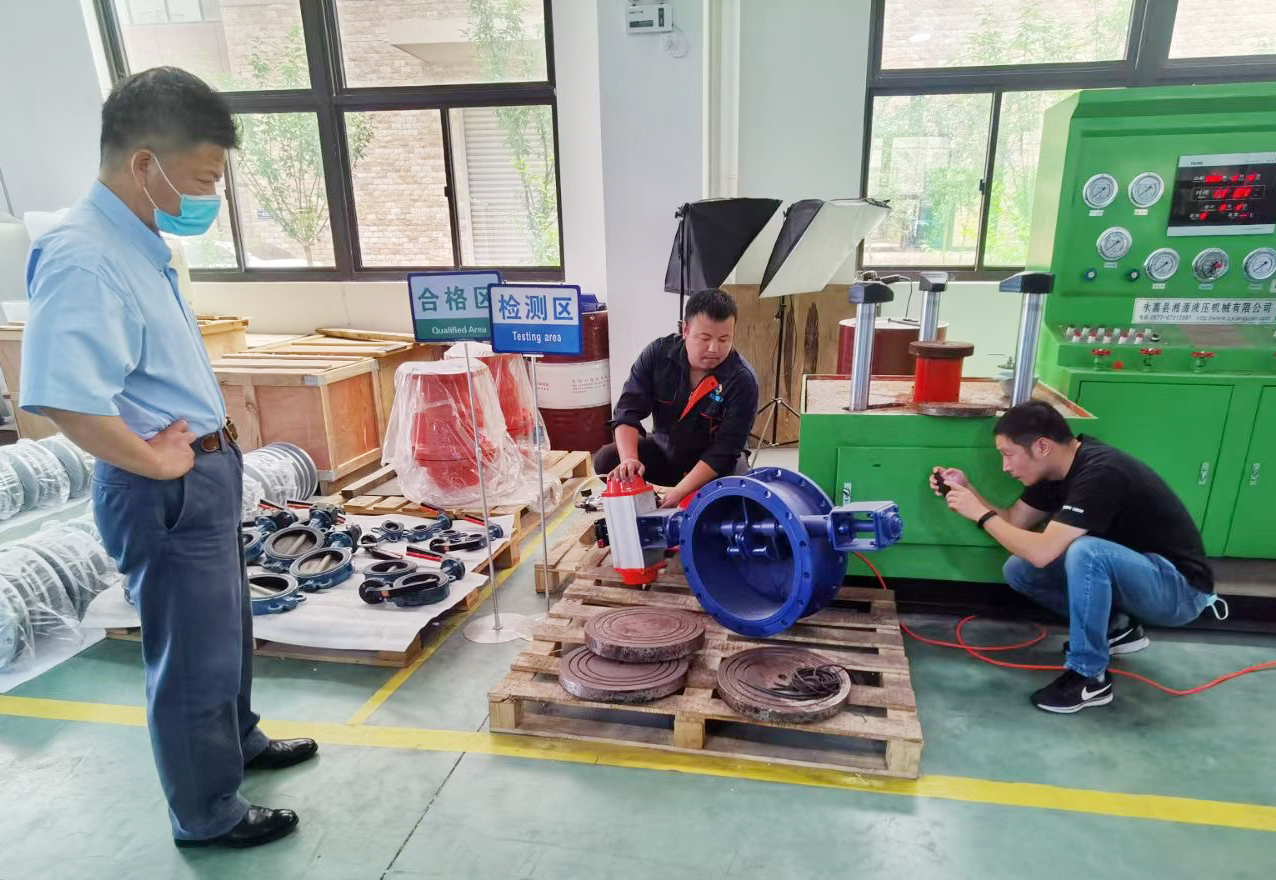 歡迎德國某廢氣治理工程公司領(lǐng)導(dǎo)蒞臨雷力進(jìn)行高溫閥門技術(shù)交流